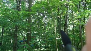 Звук направленного микрофона Yukon в естественной среде.