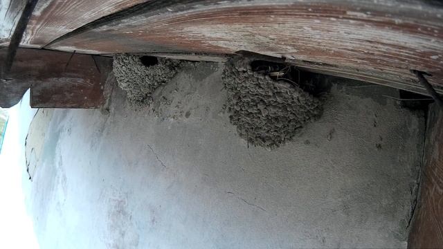 Воронок и Воробей с тыла магазина 1506142015 06 14 3 смотреть онлайн