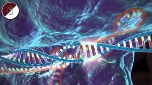 10 НАНОТЕХНОЛОГИЙ БУДУЩЕГО. Технологии будущего