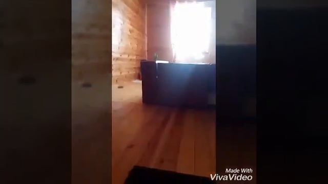 Моё утро на даче ЧИХУАХУА ЛУКАС смотреть онлайн