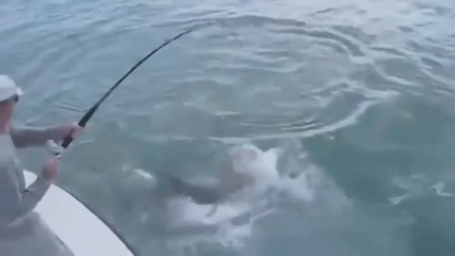 10 САМЫХ ОПАСНЫХ УЛОВОВ И ИНТЕРЕСНЫХ СЛУЧАЕВ НА РЫБАЛКЕ смотреть онлайн