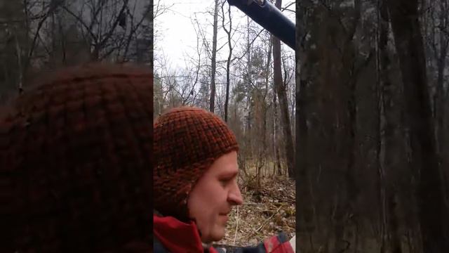 Лесок, болото, кочки смотреть онлайн