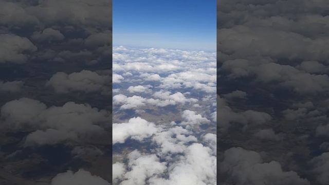 Смотреть до конца)) эффект п..... смотреть онлайн