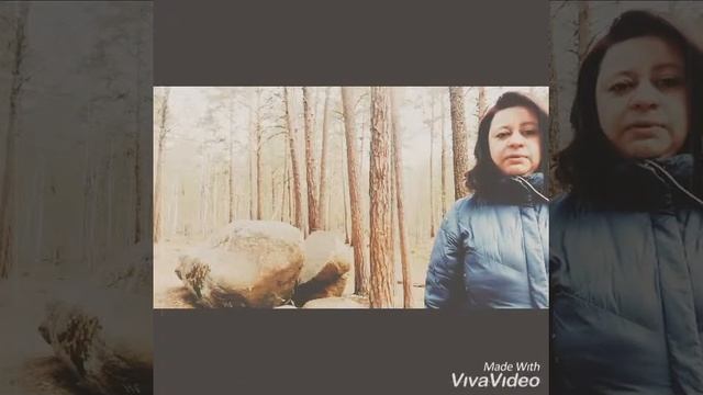 Медитация "Гармонизация с лесом" смотреть онлайн