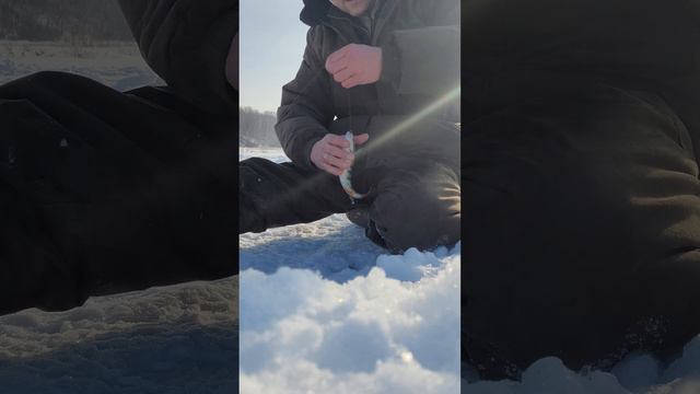 Окуни на Томи смотреть онлайн