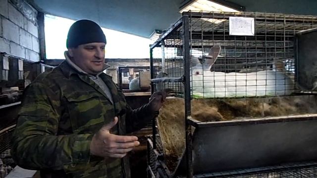 клетки для КРОЛИКОВ.один ярус или два яруса? смотреть онлайн