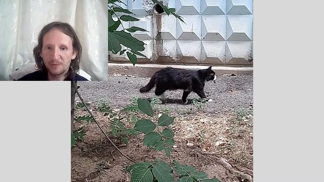 Обсуждение летних фотографий (1)