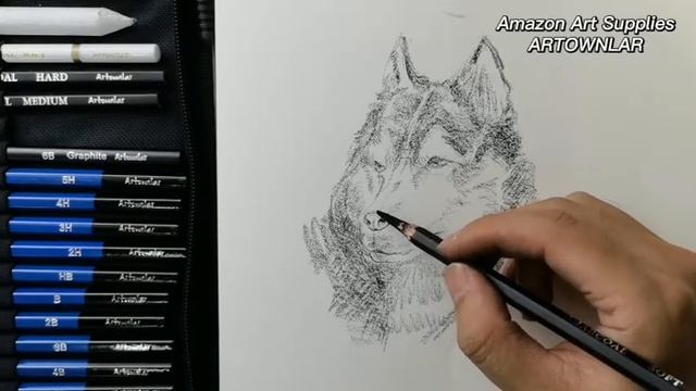 How to draw a dog by Artownlar sketching and drawing pencil art supply set смотреть онлайн