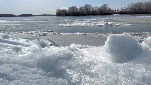 Начало ледохода на Иртыше 2023 смотреть онлайн