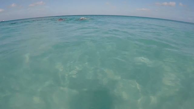 SEABOB Adventure in Aruba 2.27.17 смотреть онлайн