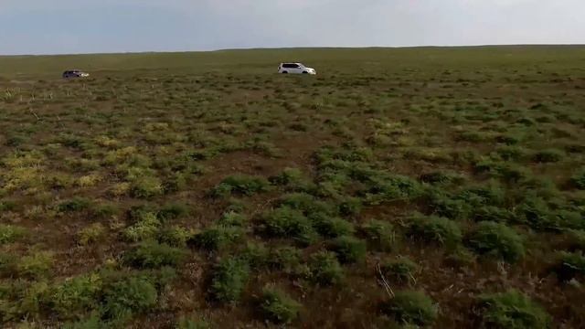 малайсары маки грибы смотреть онлайн