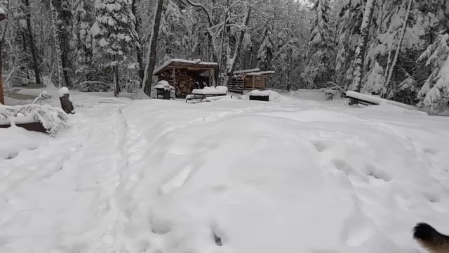We did it!! A snowstorm at the weekend homestead does not stop the maple syrup at the off grid cabi смотреть онлайн