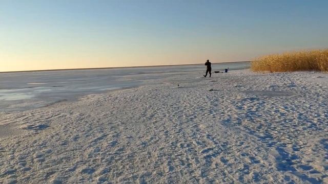 МЫ В ШОКЕ ОТ ЭТОЙ РЫБАЛКИ! ЩУКА ОЗВЕРЕЛА! ВЕЧЕРНИЙ КЛЁВ ХИЩНИКА! смотреть онлайн