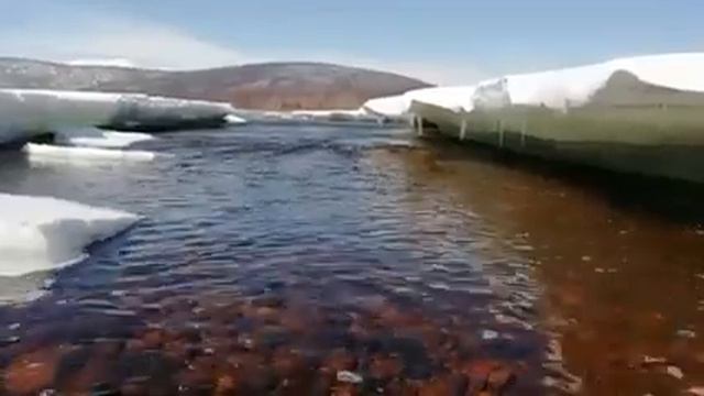Дальний Восток просыпается после зимней спячки... смотреть онлайн