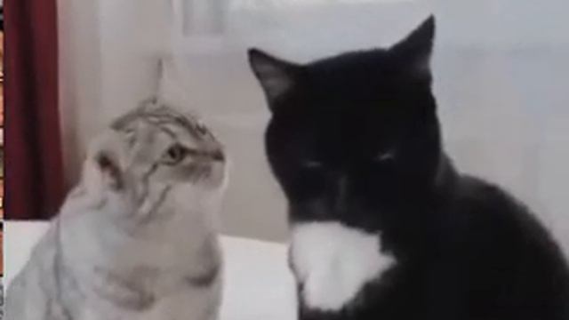 Ну что молчишь то, дядь Вася смотреть онлайн