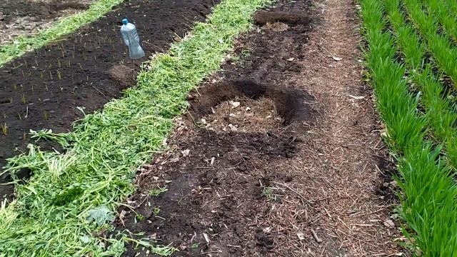 Модульный огород по Савину Александру смотреть онлайн