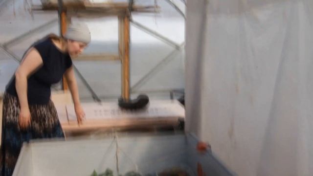 Как сохранить рассаду ранней весной в теплице (от заморозков до -17)? Личный опыт. Семья в селе. смотреть онлайн