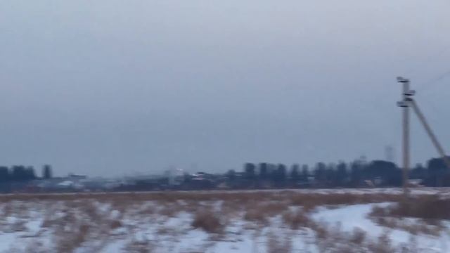 Ястребиная сова, зима. смотреть онлайн