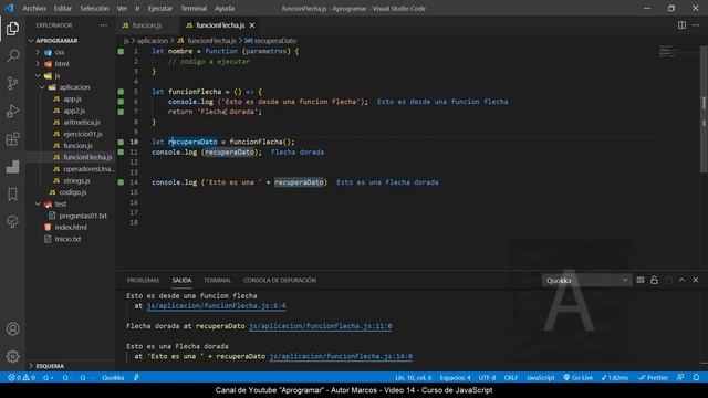Aprogramar con JavaScript - 14 Funciones flecha смотреть онлайн