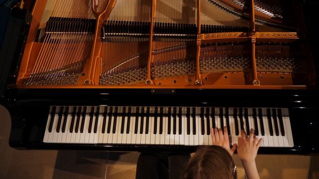 Clara Isabella Siegle - F. Liszt: Mephisto Waltz смотреть онлайн