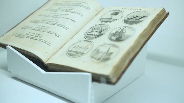 Выставка "Пётр I. Мифы и легенды" смотреть онлайн