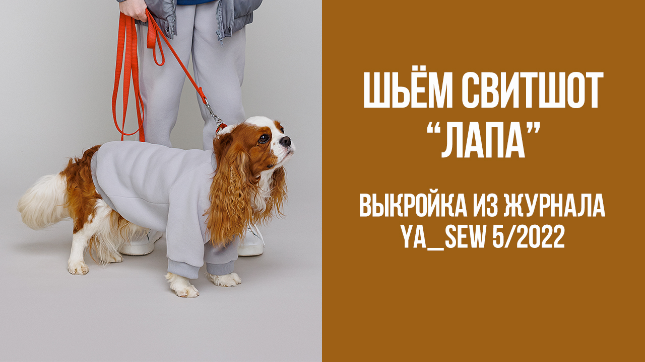 Свитшот "ЛАПА". Журнал Ya_Sew 5/2022