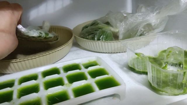 Алоэ. Как пытаюсь сохранить? #алоэ  8 декабря 2023г.