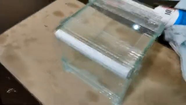 Террариум для паука Брахипельма ваганс смотреть онлайн