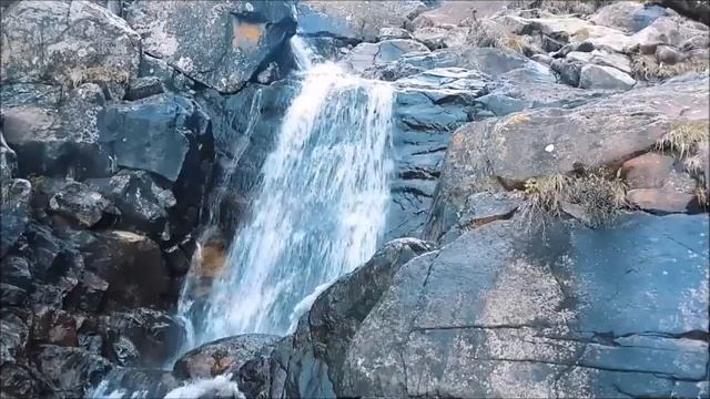 Dreaming + Позитивная энергия! Я в восторге от этого эксперимента! смотреть онлайн
