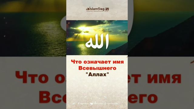 Забытые страницы