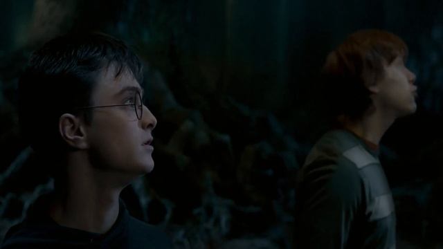 Гарри Поттер и Орден Феникса (Великан Грох) смотреть онлайн