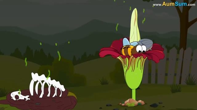 Почему цветы Так ХОРОШО Пахнут? смотреть онлайн