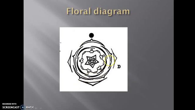 Family Geraniaceae L. Part-II смотреть онлайн