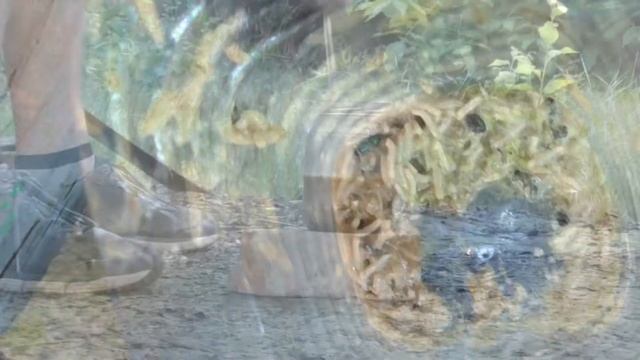 КАК СДЕЛАТЬ ОПАРЫША? / выведение опарыша в домашних условиях / вторая часть смотреть онлайн