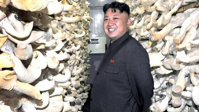 Загадочная и опасная Северная Корея смотреть онлайн