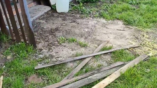 Черешня ипуть. Посадка деревьев смотреть онлайн