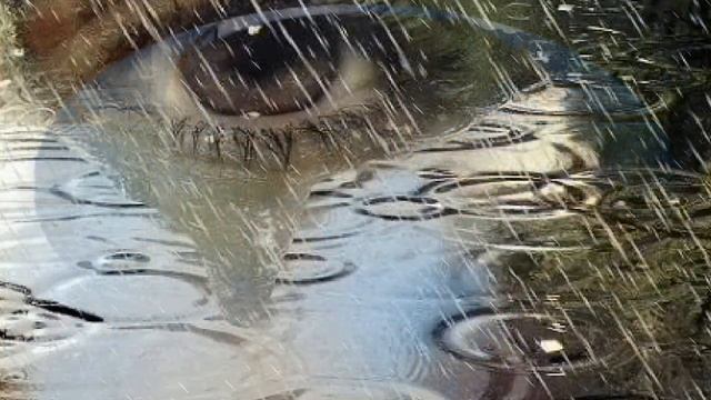 Просто дождливый день смотреть онлайн