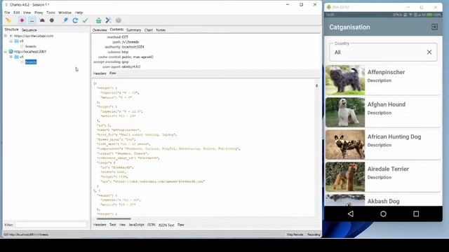 Maping mock endpoint response with Charles Proxy + Mockoon смотреть онлайн