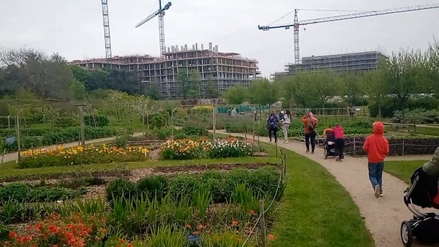 Ферма Эйрфилд Дардрум, домашние животные, Дублин. Украинские беженцы в Ирландии. Мой путь Надежды смотреть онлайн