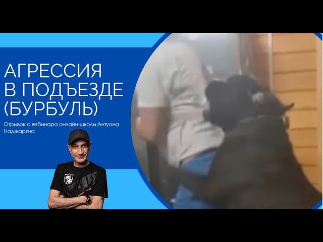 Агрессия в подъезде (Бурбуль) смотреть онлайн