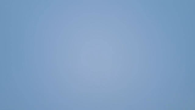 #Pigeons.Зимний гон Гагиковских дикарей в Сибири. смотреть онлайн