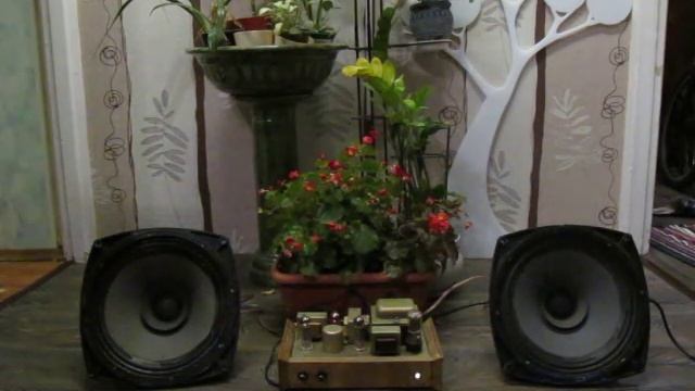 Ламповый усилитель на 6н23п и 6п18п. Динамик 4а32. смотреть онлайн