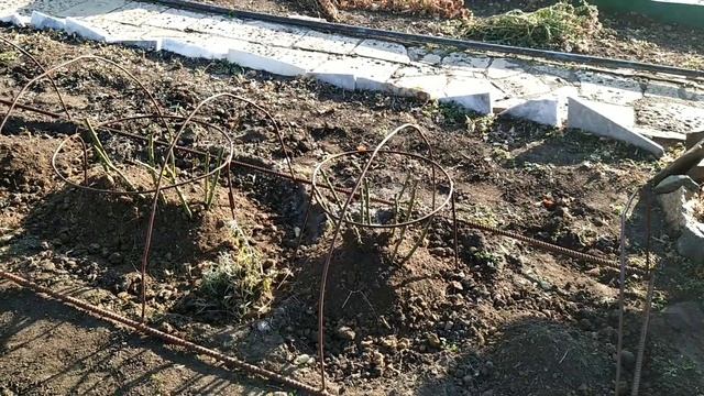 #Обзор#дачи#20 октября 2020 г. смотреть онлайн