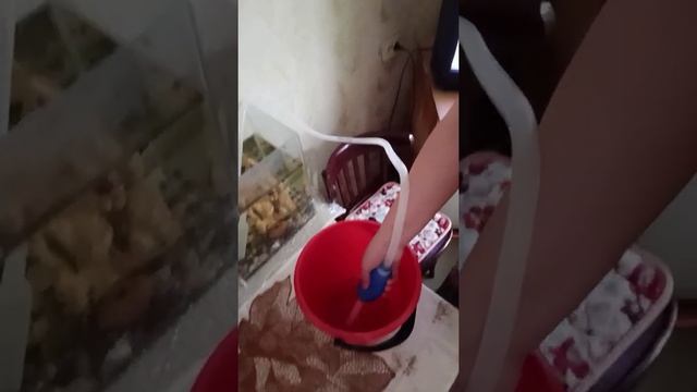Как почистить аквариум! смотреть онлайн