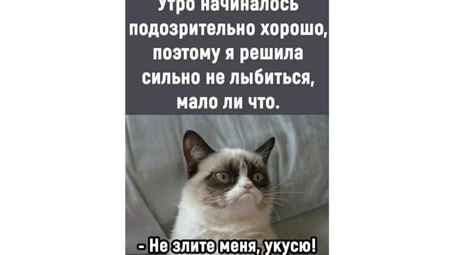 Приколы с котами. ЛУЧШЕЕ ЗА АПРЕЛЬ 2022 | Мемозг смотреть онлайн