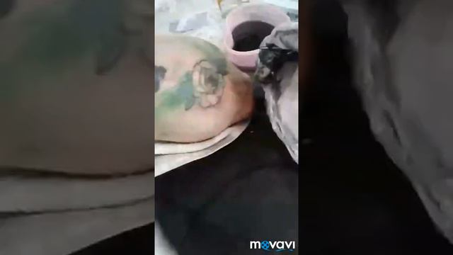 JAIRO RODRIGUEZ TATTOO смотреть онлайн