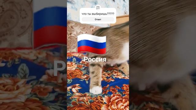 ну вот я КАЗАХСТАН ПОТОМУ Я РОДИЛАСЬ В КАЗАХСТАНЕ Я ОБОЖАЮ КАЗАХСТАН...../НАЗЕРКЕКАЗАШКА смотреть онлайн