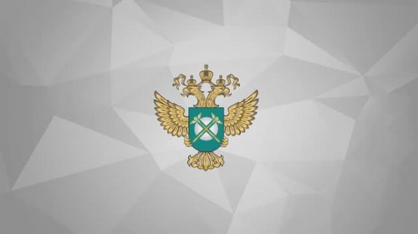 Обзор модернизированного сайта Федеральной антимонопольной службы (ФАС). RuNetSoft