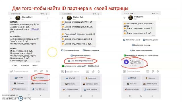 Статус7.0 Как найти ID партнера и другое... смотреть онлайн