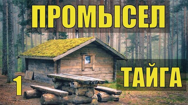 ПРОМЫСЕЛ В ГЛУХОЙ ТАЙГЕ ЗИМОВЬЕ ИЗБУШКА ОХОТНИКА ОДИН С ЛАЙКОЙ НА СОБОЛЯ ОТШЕЛЬНИКИ ЖИЗНЬ В ЛЕСУ 1 смотреть онлайн